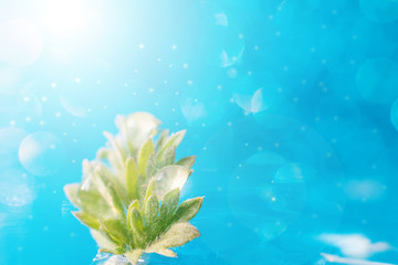 Small leaves of the plant on a bright blue background with sparkles. Copy space. Concept of spring, summer.
