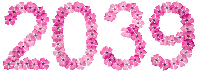 Inscription 2039, from natural pink flowers of periwinkle, isolated on white background
