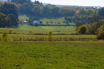 Wiesenlandschaft mit Haus in der Nähe von Morbach im Hunsrück