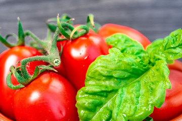 Fresh tomatoes and basil in a plate on a dark background