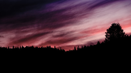 Sunset Clouds And Forest Silhouette