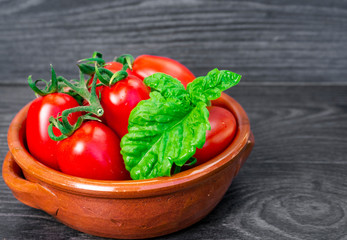 Fresh tomatoes and basil in a plate on a dark background