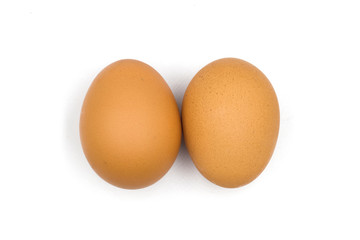 chicken egg isolated on white background