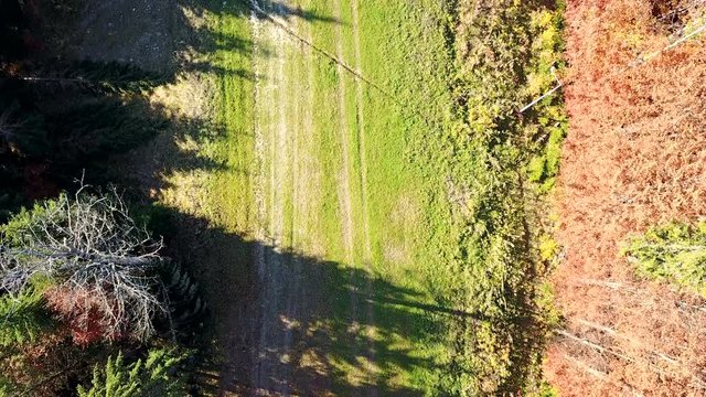 Aerial view of the movement of vehicles on a mountain road. Carpathians. Top view