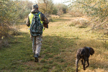 Hunter with a german drathaar and spaniel, pigeon hunting with dogs in reflective vests	