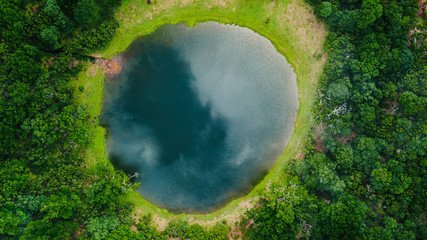 Aerial view of natural pond surrounded by pine trees in Fanal, Madeira island, Portugal - Powered by Adobe