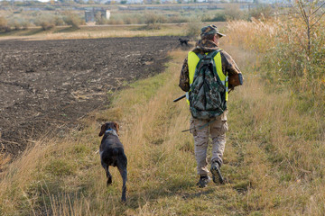 Hunter with a german drathaar and spaniel, pigeon hunting with dogs in reflective vests	