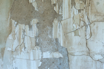Asbestos slate texture concrete covered with lichen and moss