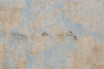 Asbestos slate texture concrete covered with lichen and moss
