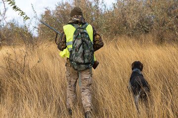 Hunter with a german drathaar and spaniel, pigeon hunting with dogs in reflective vests	
