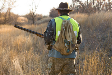 Hunter with a german drathaar and spaniel, pigeon hunting with dogs in reflective vests	