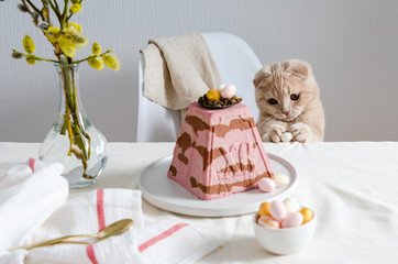 Cute cat with easter egg at festive served table. Easter card. Traditional easter food. Copy space