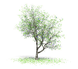 Obraz premium 3D rendering - A tree of plants isolated over a white background use for natural poster or wallpaper design, 3D illustration Design.