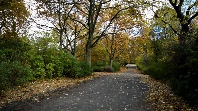 Autumn Impressions from Viktoriapark in Berlin Kreuzberg on November 2, 2016, Germany