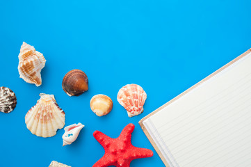 Open empty notebook on a blue background with shells and starfish