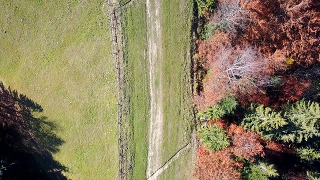Aerial view of the movement of vehicles on a mountain road. Carpathians. Top view