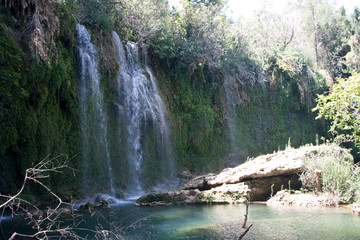 Fototapeta premium waterfall in forest