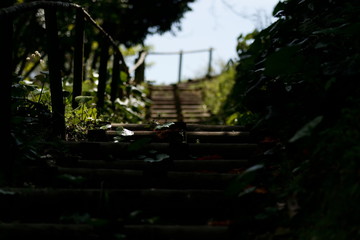 階段