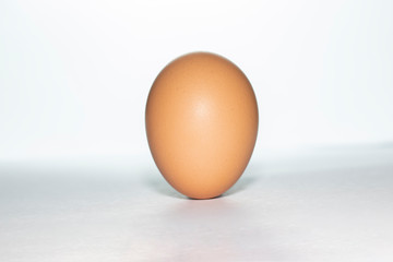 brown chicken egg isolated on white background.  brown oval chicken egg isolated on white background 