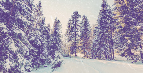 winter background. wintry landscape scenery. retro style. instagram filter
