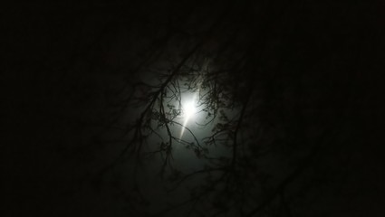 full moon in the sky