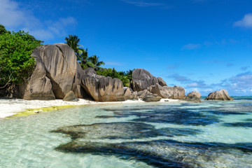 Fototapeta na wymiar rocks,white sand,palms,turquoise water at tropical beach,la dique,seychelles paradise 6