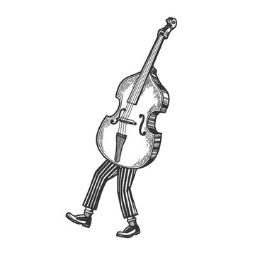 Double bass violin alto cello string instrument walks on its feet sketch engraving vector illustration. Scratch board style imitation. Black and white hand drawn image.