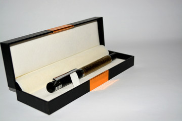 Pen with case