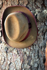 vintage hat garden nobody 