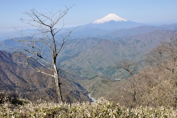 熊笹ノ峰より望む富士山