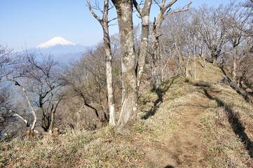 大笄の森から望む富士山