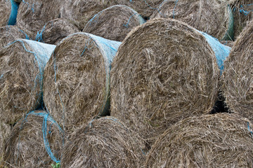 bales of hay