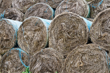 bales of hay