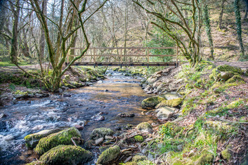Footbridge over river in woodland