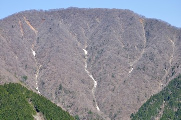 春頃の大室山