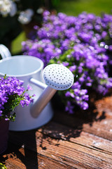 Gardening tools and spring flowers on the terrace in the garden