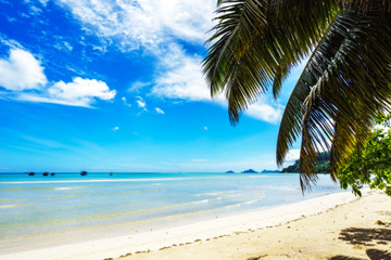Fototapeta premium beautiful lagoon with boats in turquoise water behind palm leaves, seychelles 2