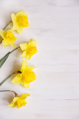 yellow daffodils on wooden background