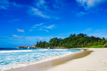 Fototapeta na wymiar Beautiful tropical beach,palms,white sand,granite rocks,seychelles 6