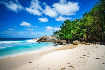 beautiful paradise tropical beach,palms,rocks,white sand,turquoise water, seychelles 22