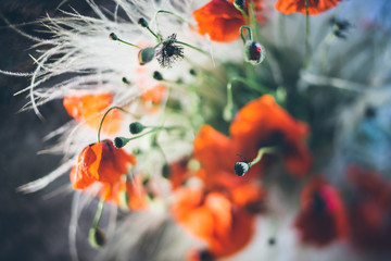 Poppies with a blurred background and space for text.