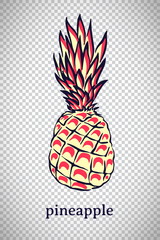Hand drawn stylized pineapple. Vector ananas fruit isolated on transparent background. Graphic illustration for logo or icon