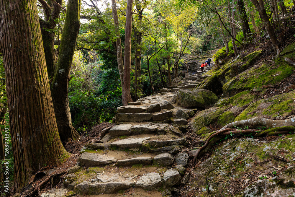 Wall mural pilgrimage to japan shrine