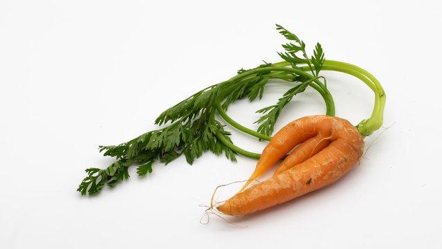 fresh carrots on white background with leafs