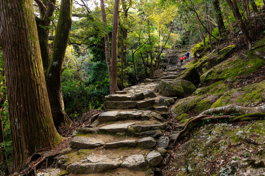 Pilgrimage to Japan shrine