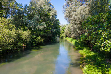 Fototapeta na wymiar Natural park of the Sile river in Italy