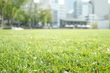 公園
