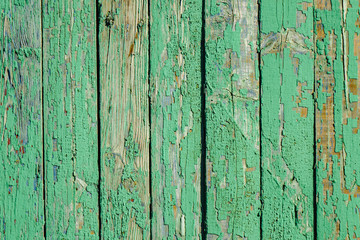green wood texture from wide dry boards green background from old wood