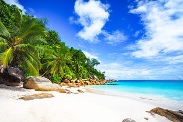 palms,white sand,granite rocks and turquoise water at tropical beach, seychelles 3