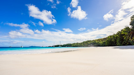 Fototapeta na wymiar Paradise beach.White sand,turquoise water,palm trees at tropical beach,seychelles 36
